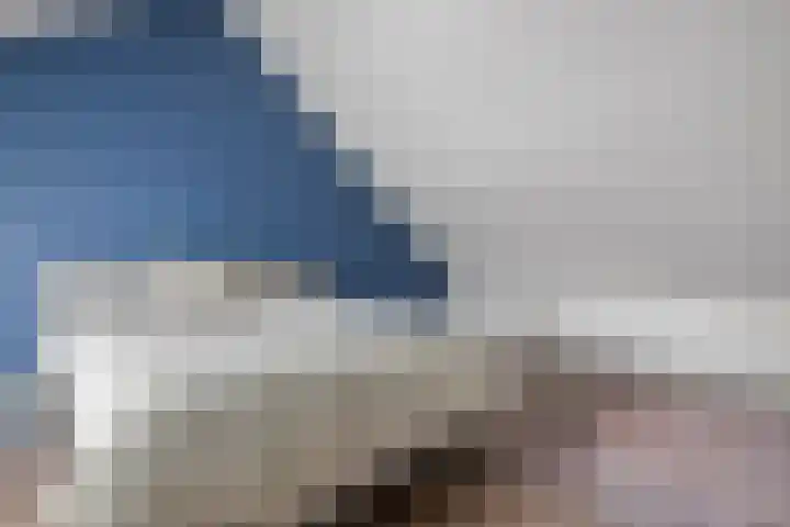 Hageheld 37 Someren thumbnail 34
