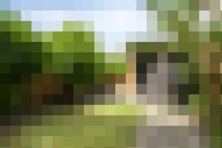 Hageheld 37 Someren thumbnail 35