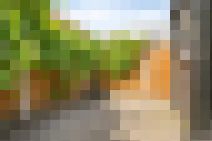 Hageheld 37 Someren thumbnail 37