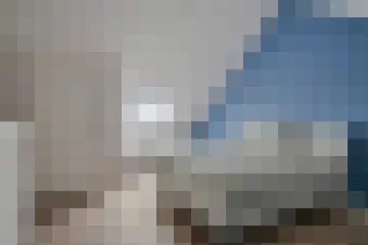 Hageheld 37 Someren thumbnail 4