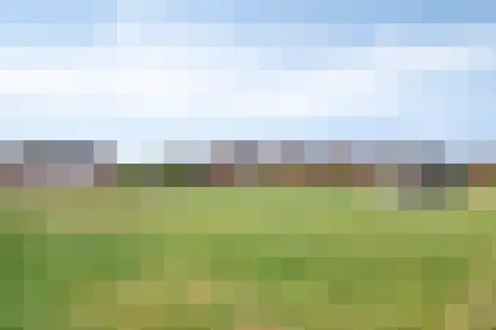 Hageheld 37 Someren thumbnail 41