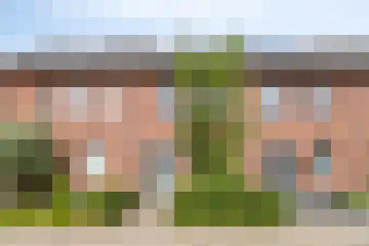 Hageheld 37 Someren thumbnail 6