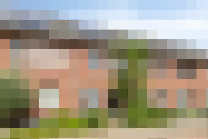 Hageheld 37 Someren thumbnail 7