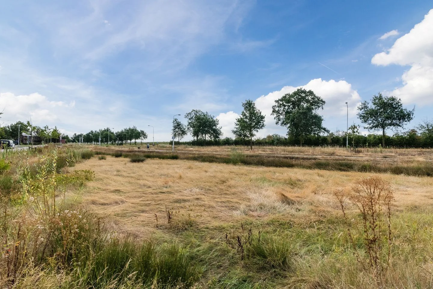 Hageheld 39 Someren thumbnail 49