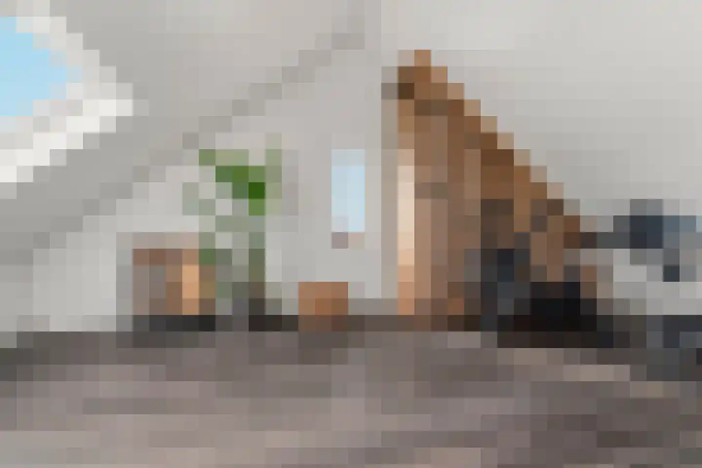 Hageheld 43 Someren thumbnail 30