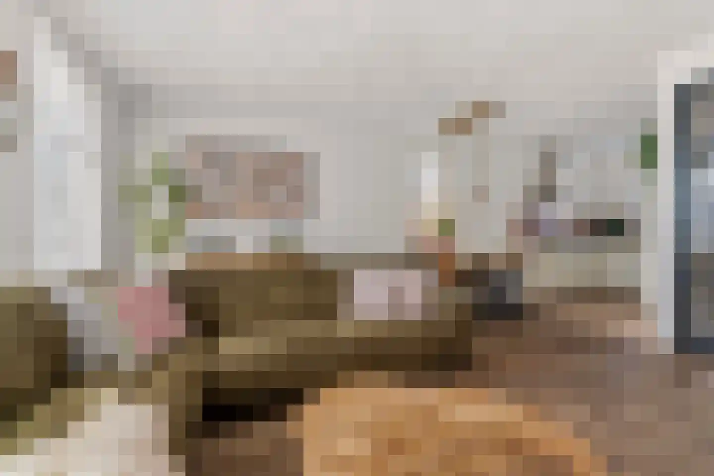 Hageheld 43 Someren thumbnail 5