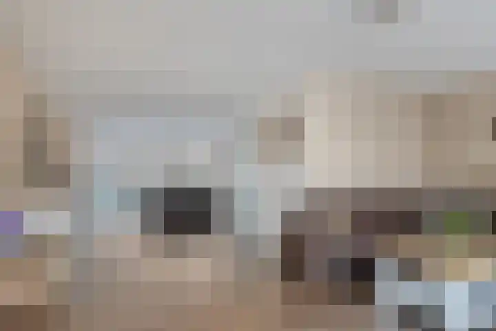 Hageheld 44 Someren thumbnail 10