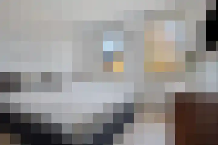 Hageheld 44 Someren thumbnail 19
