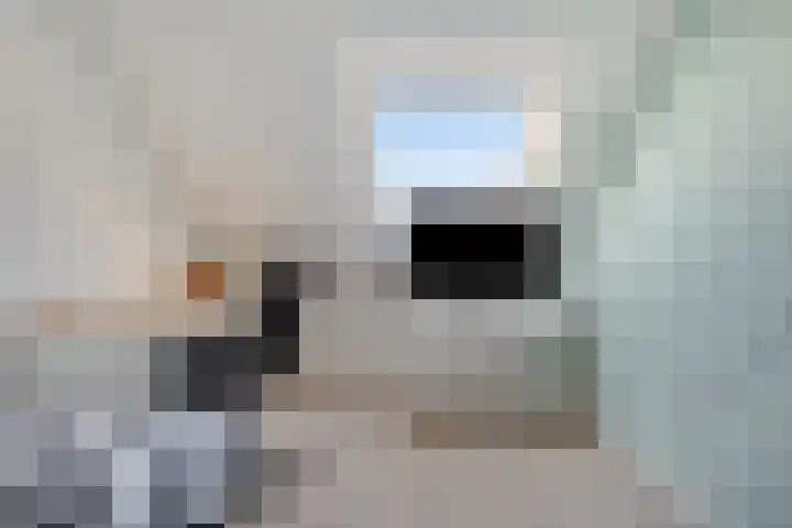 Hageheld 44 Someren thumbnail 27