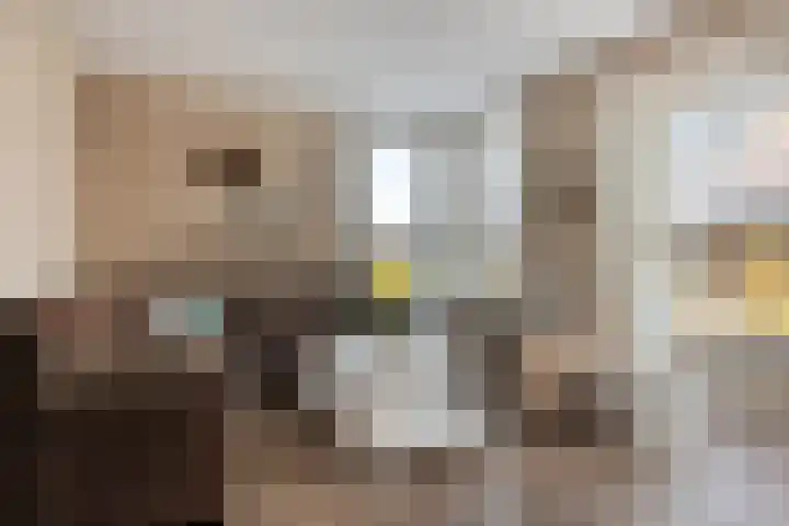 Hageheld 44 Someren thumbnail 8