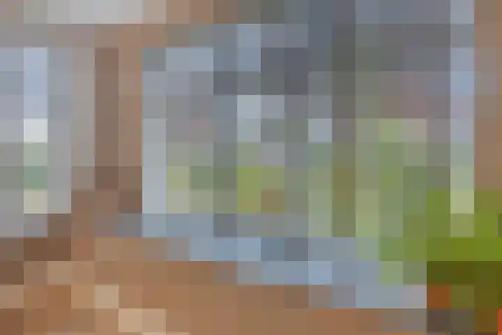 Hageheld 7 Someren thumbnail 22
