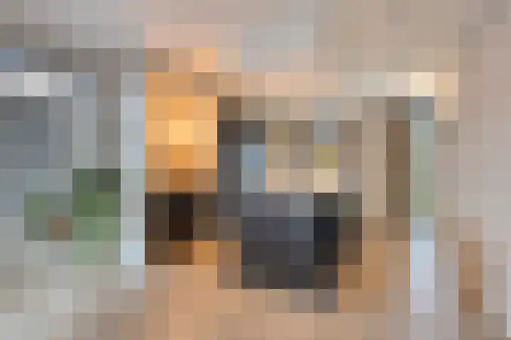 Hageheld 7 Someren thumbnail 24