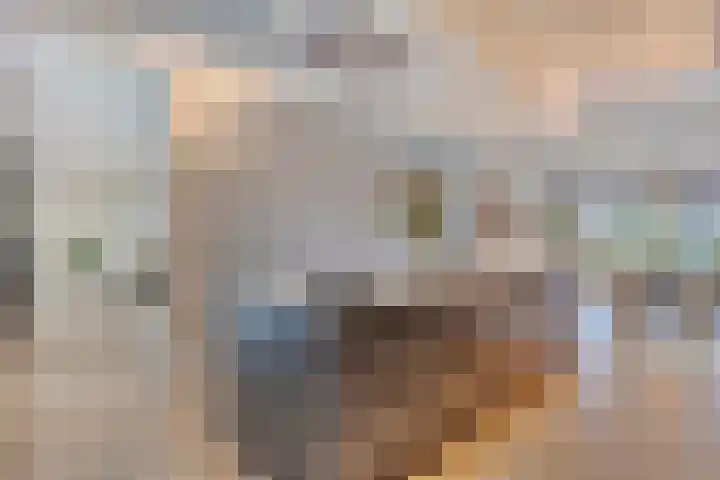 Hageheld 7 Someren thumbnail 26