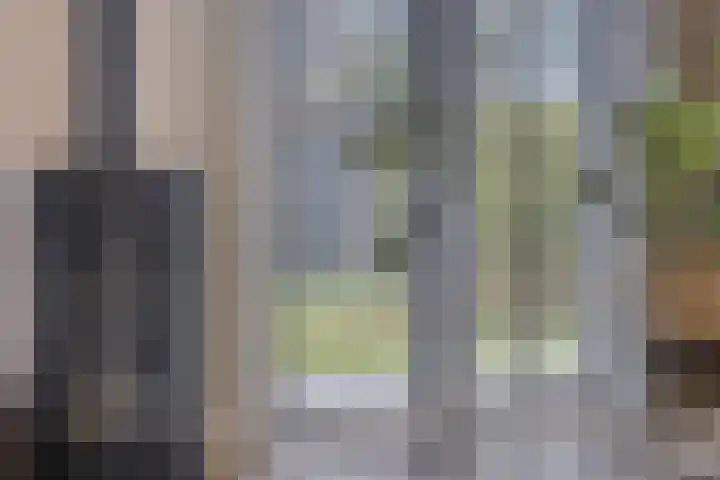 Hageheld 7 Someren thumbnail 28