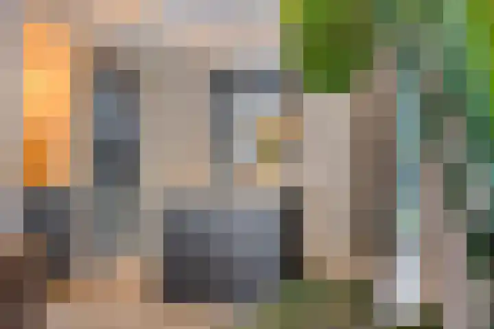 Hageheld 7 Someren thumbnail 29