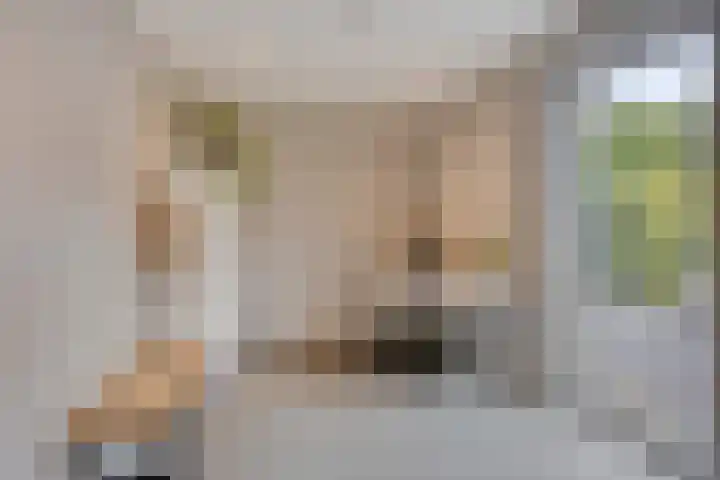 Hageheld 7 Someren thumbnail 32