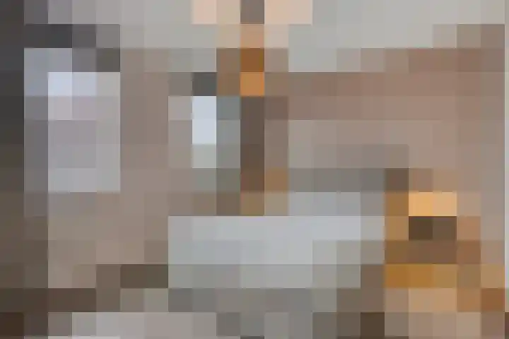 Hageheld 7 Someren thumbnail 38