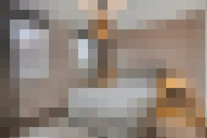 Hageheld 7 Someren thumbnail 4