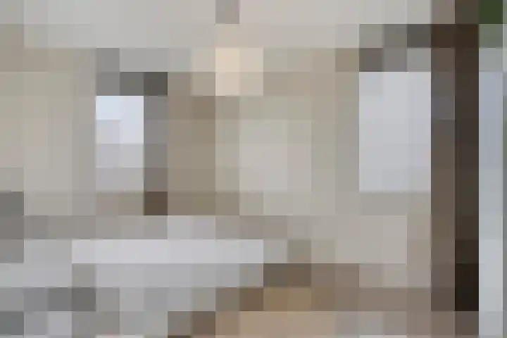 Hageheld 7 Someren thumbnail 42