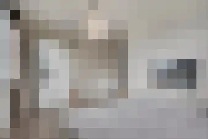 Hageheld 7 Someren thumbnail 43