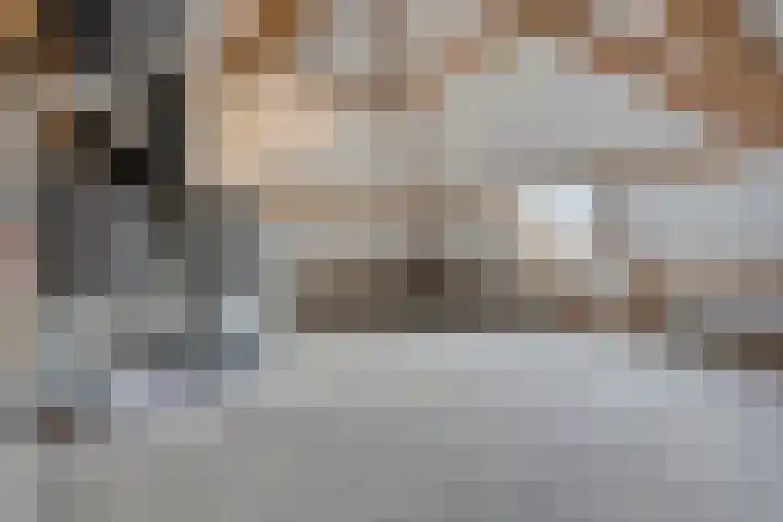 Hageheld 7 Someren thumbnail 52