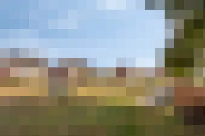 Hageheld 7 Someren thumbnail 59