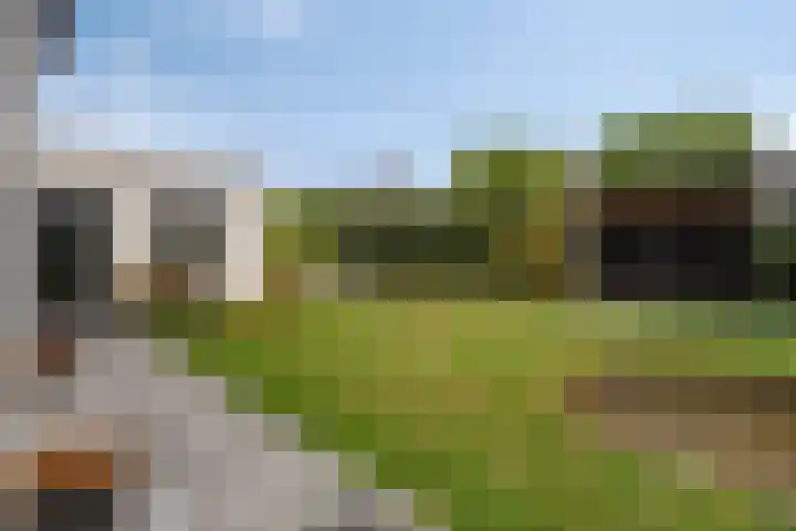 Hageheld 7 Someren thumbnail 6