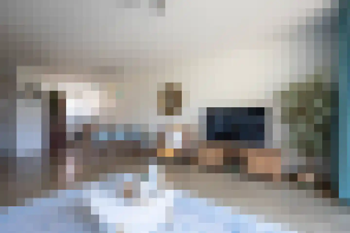 Hageheldhof 5 Utrecht thumbnail 11