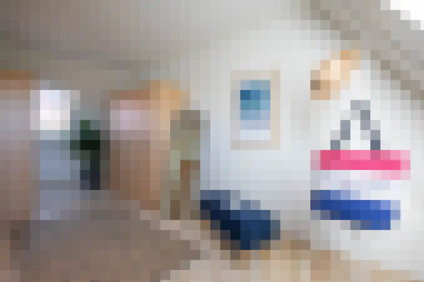 Hageheldhof 5 Utrecht thumbnail 30