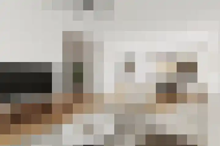Hageheldlaan 43 Eindhoven thumbnail 10