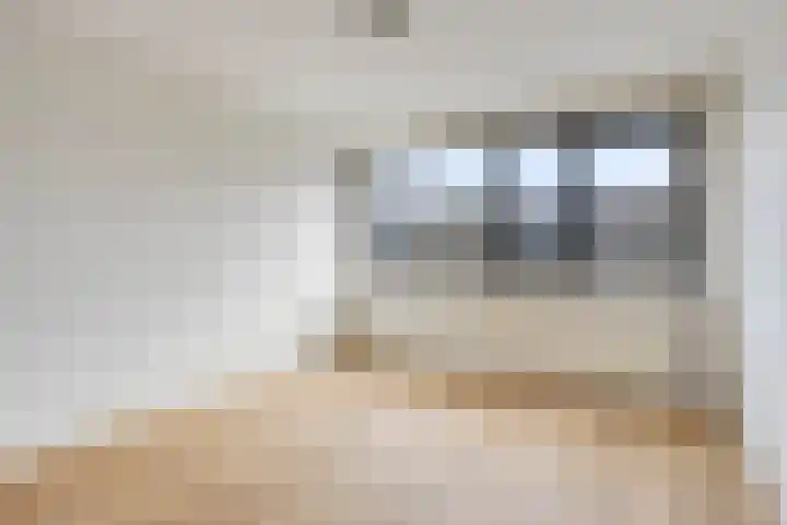 Hageheldlaan 43 Eindhoven thumbnail 18