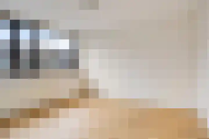 Hageheldlaan 43 Eindhoven thumbnail 23