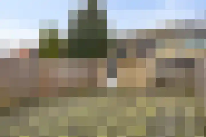 Hageheldlaan 43 Eindhoven thumbnail 31