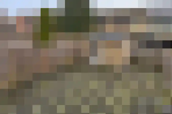 Hageheldlaan 43 Eindhoven thumbnail 35