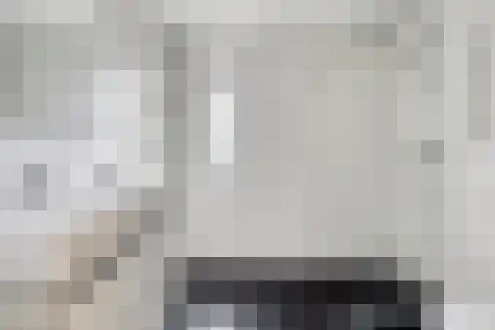 Hageheldlaan 43 Eindhoven thumbnail 4