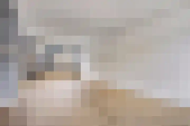 Hageheldlaan 43 Eindhoven thumbnail 9