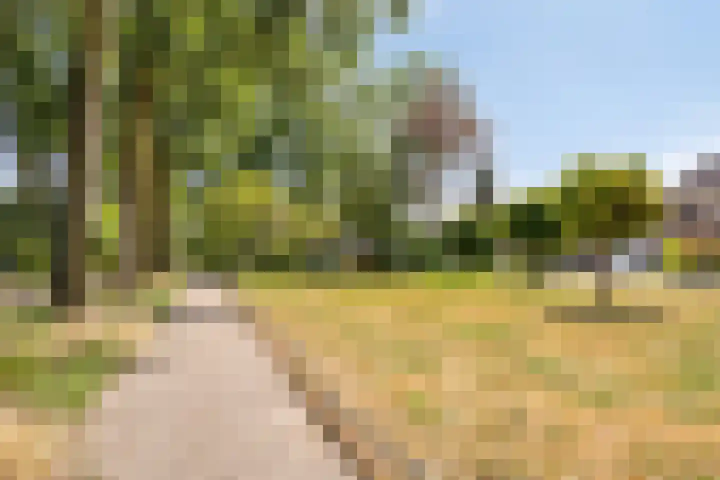 Hageheldlaan 47 Eindhoven thumbnail 31