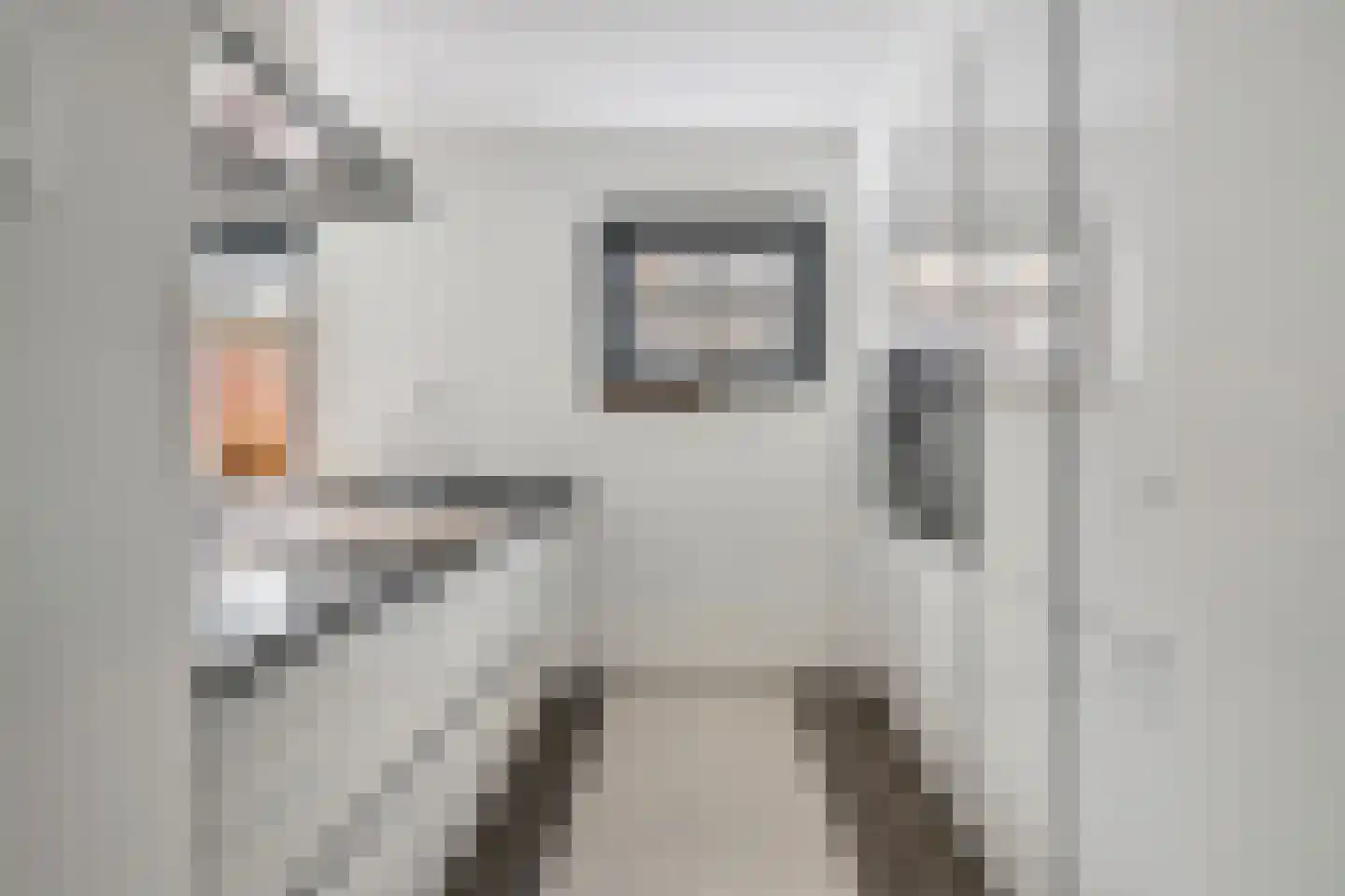 Hageheldlaan 48 Eindhoven thumbnail 15