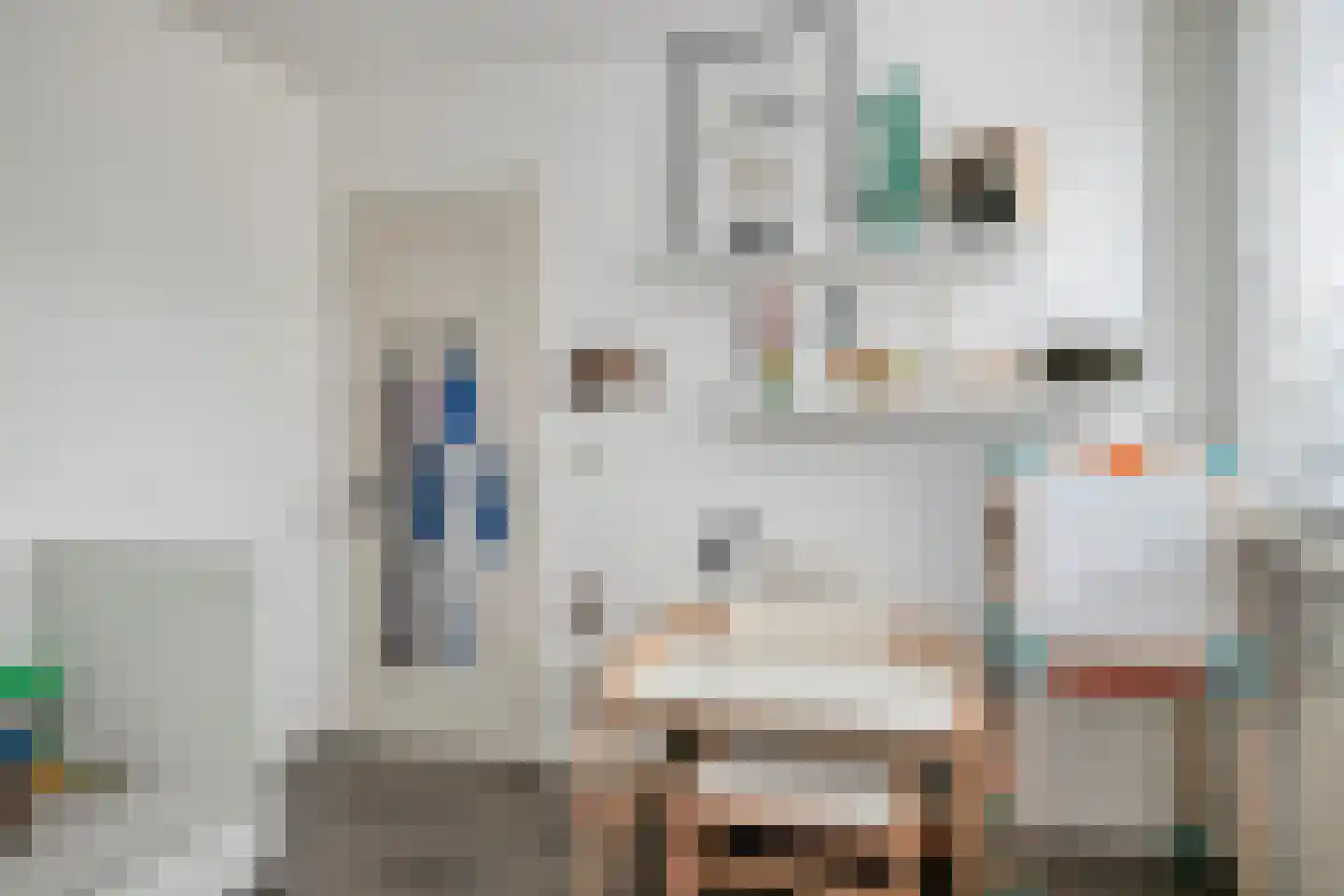 Hageheldlaan 48 Eindhoven thumbnail 25