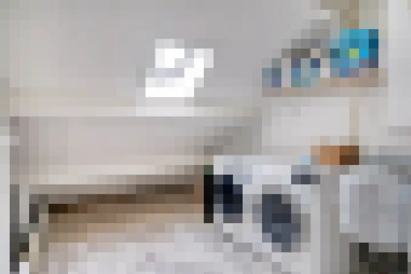 Hageheldlaan 48 Eindhoven thumbnail 33