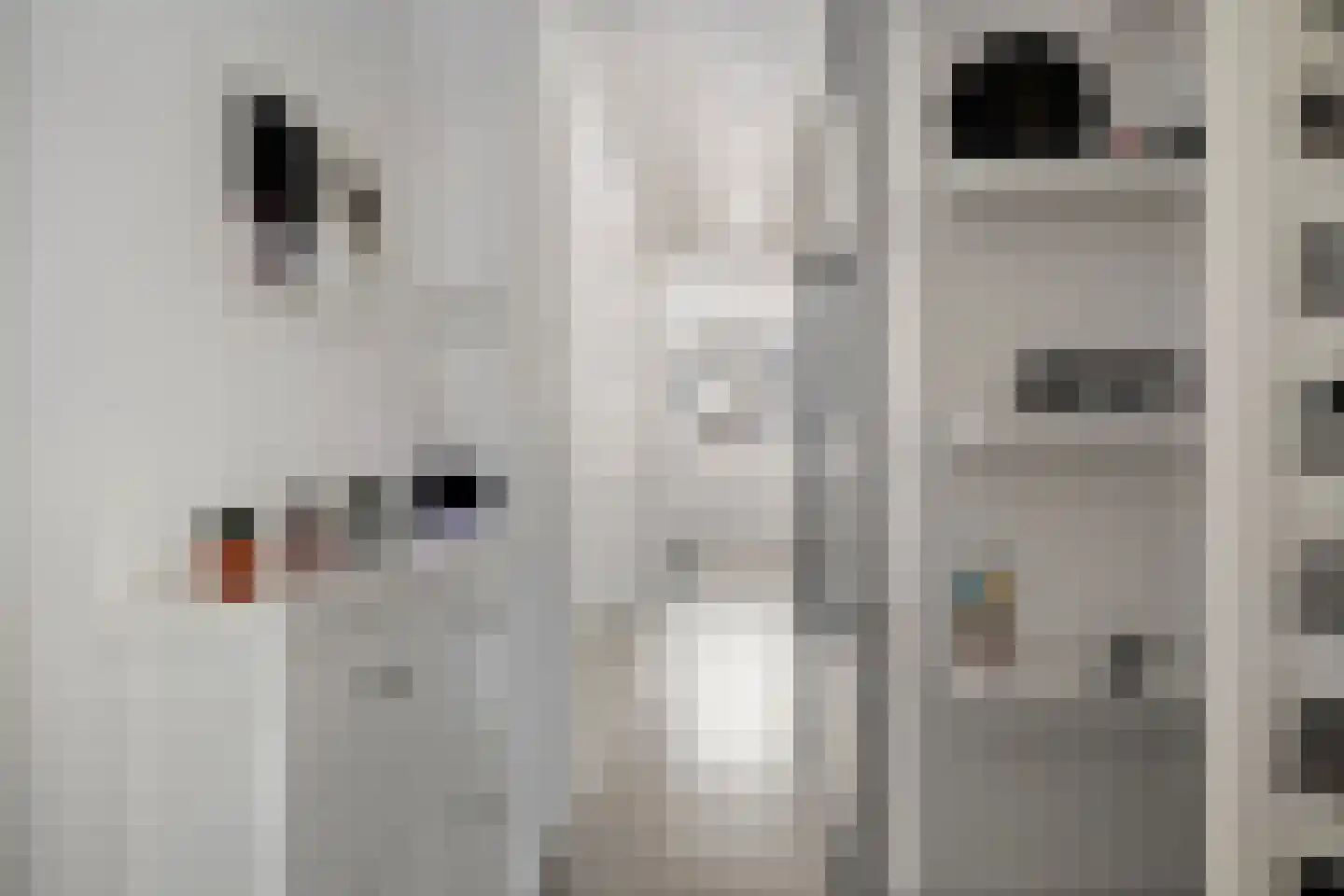 Hageheldlaan 48 Eindhoven thumbnail 6