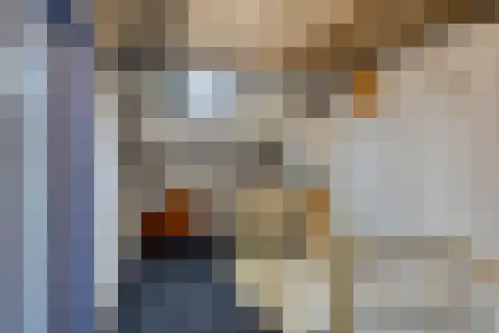 Hageheldlaan 74 Eindhoven thumbnail 23