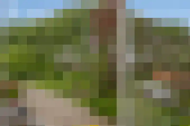 Hageheldlaan 74 Eindhoven thumbnail 27