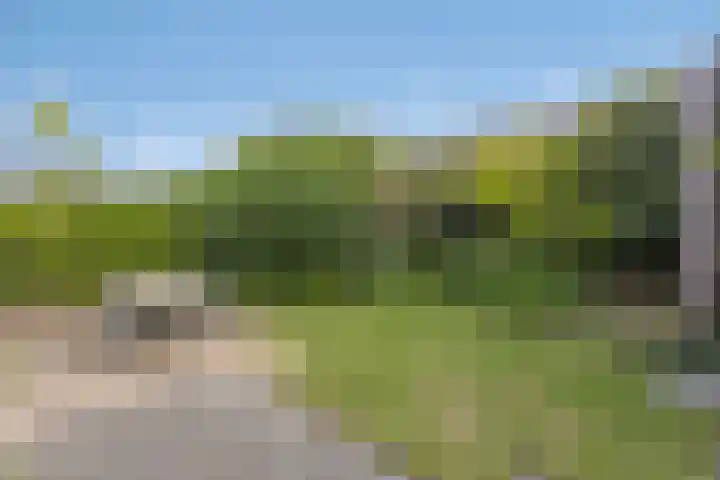 Hageheldlaan 74 Eindhoven thumbnail 30