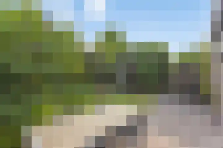 Hageheldlaan 74 Eindhoven thumbnail 31