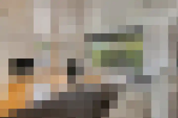 Hageheldlaan 74 Eindhoven thumbnail 8