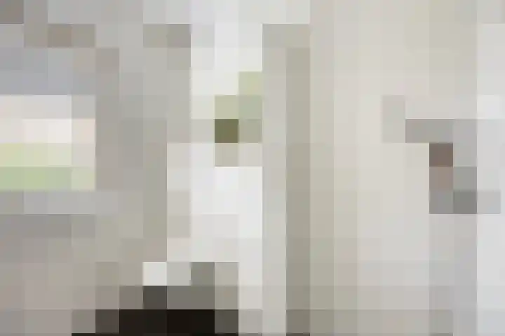 Hageheldlaan 78 Eindhoven thumbnail 24