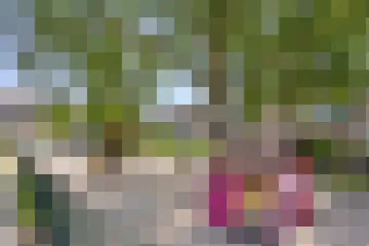 Hageheldlaan 78 Eindhoven thumbnail 38