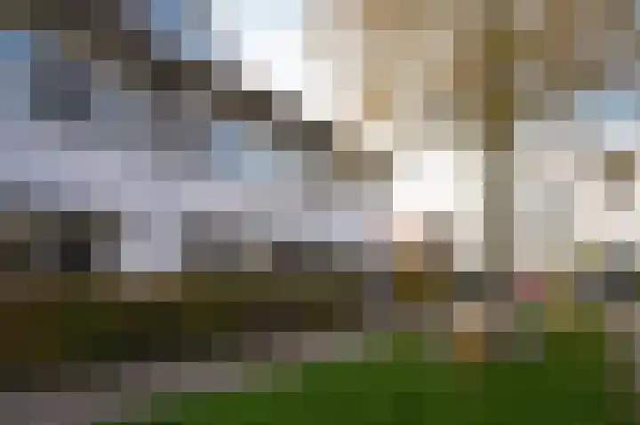 Hageheldstraat 19 Rosmalen thumbnail 30