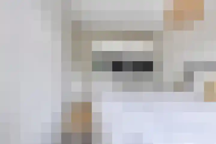 Hagehof 14 Breda thumbnail 18